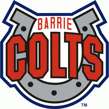 Barrie Colts 1995-pres secondary logo v2 iron on transfers for clothing